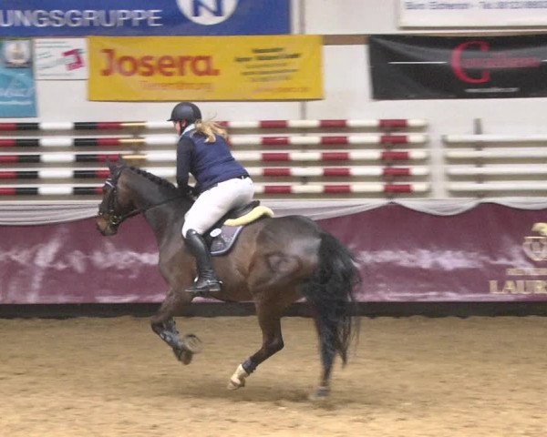 Reitturnier Eicherloh 2018