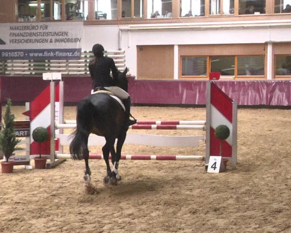 Reitturnier Eicherloh 2018