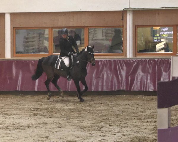 Reitturnier Eicherloh 2018