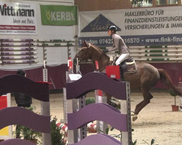 Reitturnier Eicherloh 2018