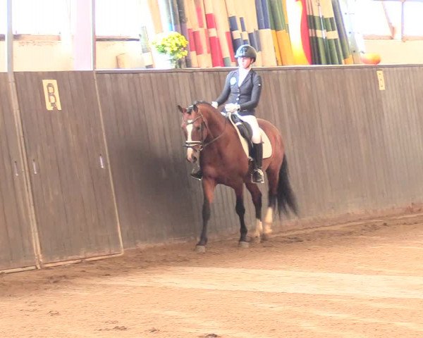 Reitturnier St. Peter Ording 2021