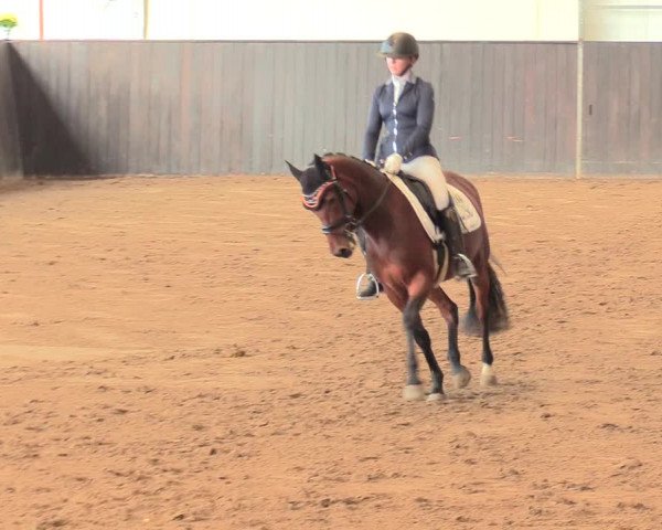 Reitturnier St. Peter Ording 2021