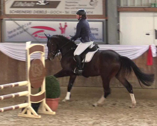 Reitturnier Goch 2018