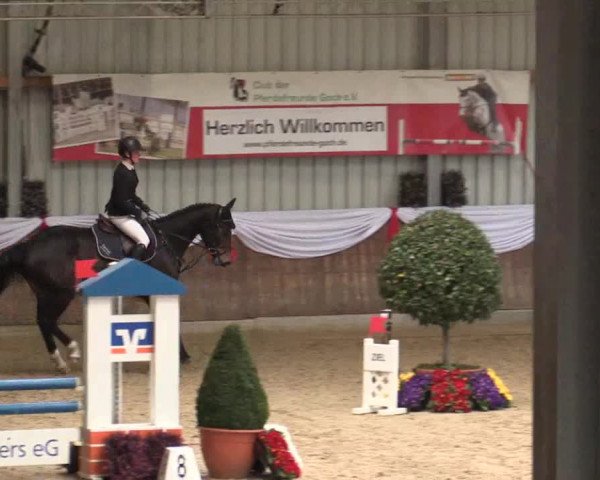 Reitturnier Goch 2018
