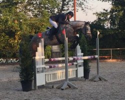 jumper Ca Savio (Württemberger, 2012, from Clearway)