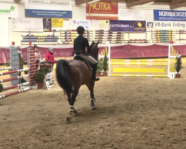 Reitturnier Eicherloh 2018