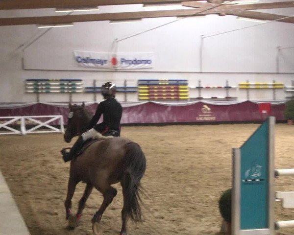 Reitturnier Eicherloh 2018