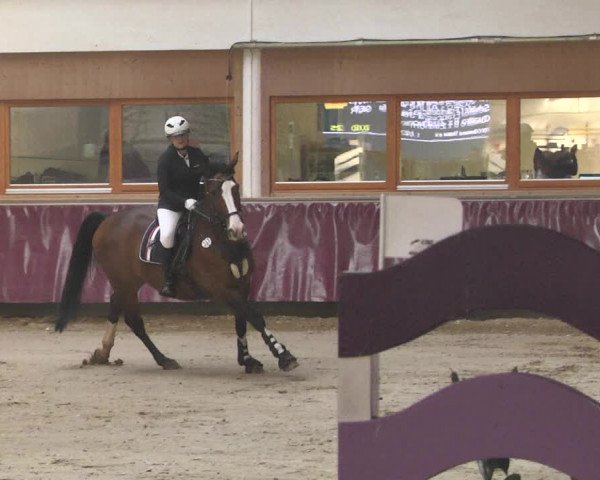 Reitturnier Eicherloh 2018