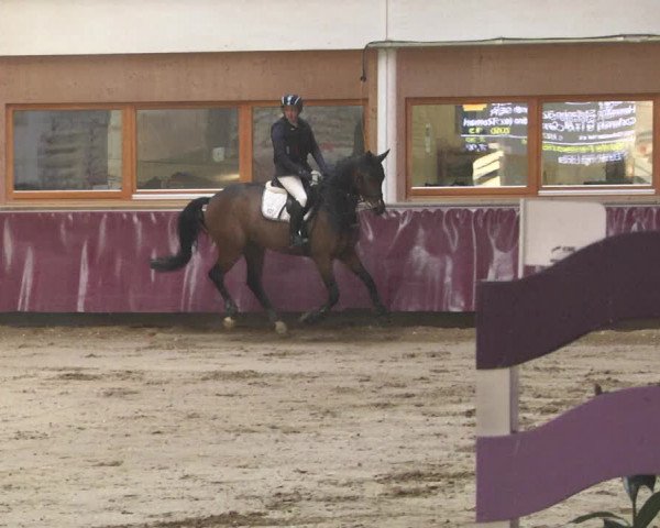Reitturnier Eicherloh 2018