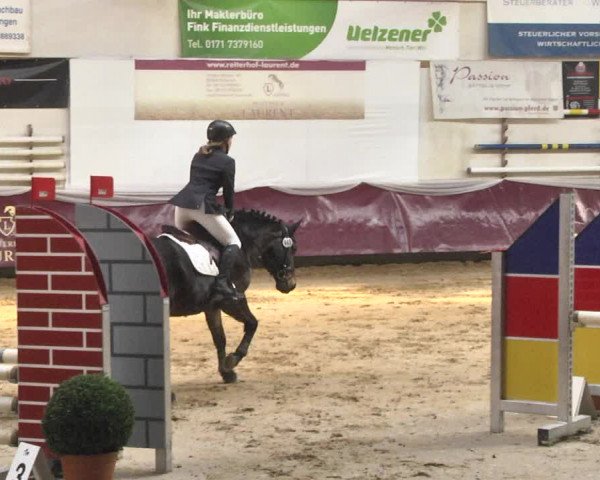 Reitturnier Eicherloh 2018