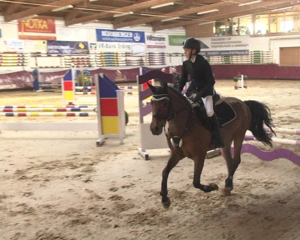 Reitturnier Eicherloh 2018
