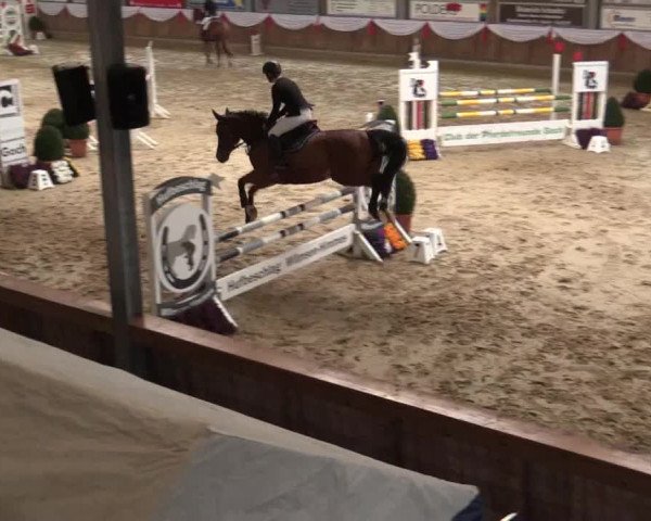 Reitturnier Goch 2018