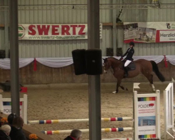 Reitturnier Goch 2018