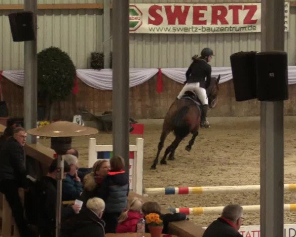 Reitturnier Goch 2018