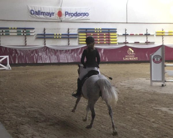 Reitturnier Eicherloh 2018