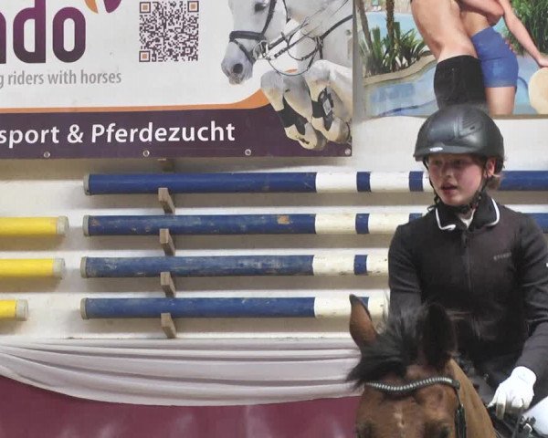 Reitturnier Eicherloh 2018
