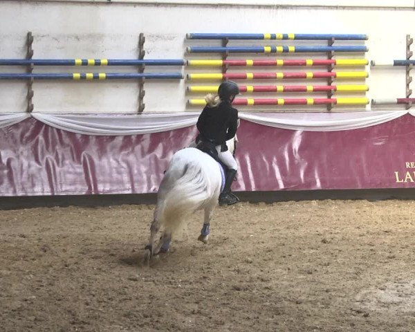 Reitturnier Eicherloh 2018