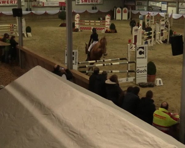 Reitturnier Goch 2018