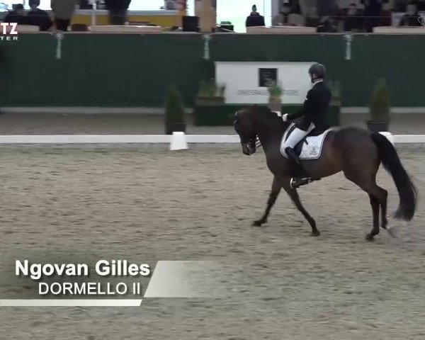 Horsepark Dressage Masters 2018