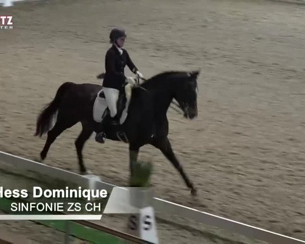 Horsepark Dressage Masters 2018