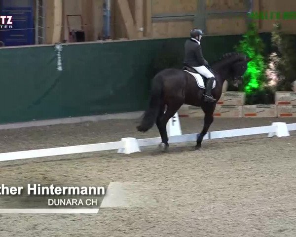 Horsepark Dressage Masters 2018