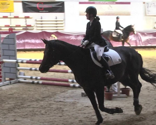 Reitturnier Eicherloh 2018