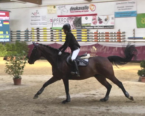 Reitturnier Eicherloh 2018