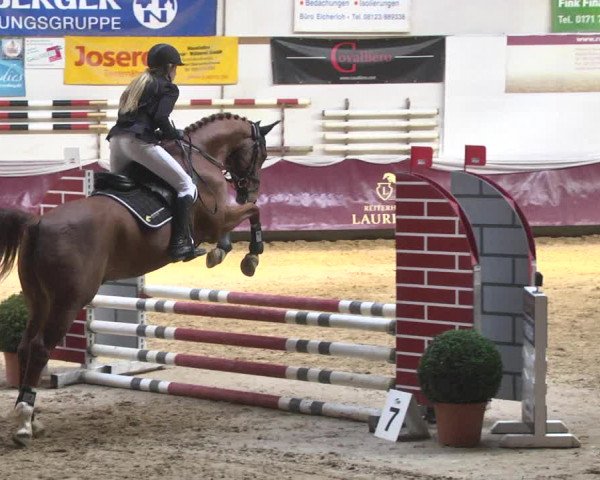 Reitturnier Eicherloh 2018