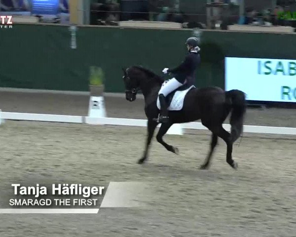 Horsepark Dressage Masters 2018