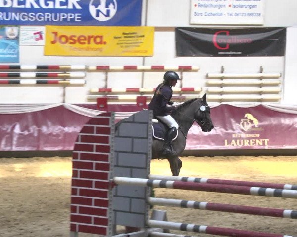Reitturnier Eicherloh 2018