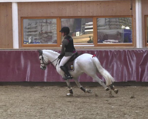 Reitturnier Eicherloh 2018