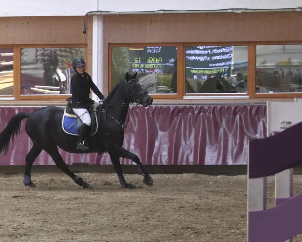Reitturnier Eicherloh 2018