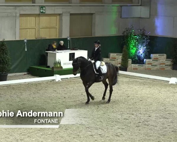 Horsepark Dressage Masters 2018