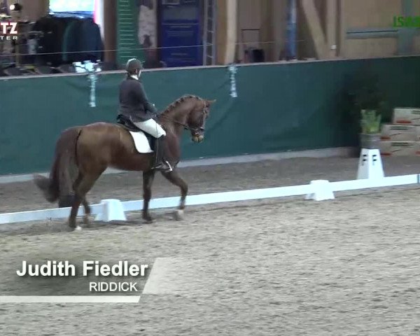 Horsepark Dressage Masters 2018