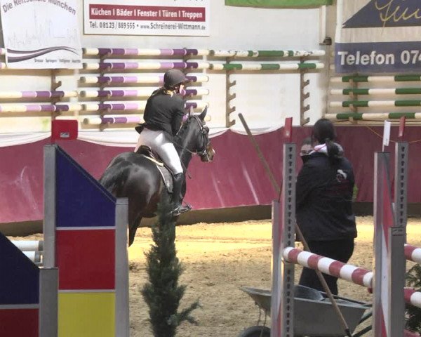 Reitturnier Eicherloh 2018