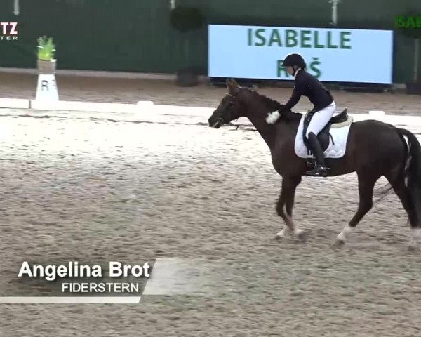 Horsepark Dressage Masters 2018