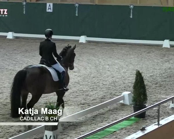 Horsepark Dressage Masters 2018