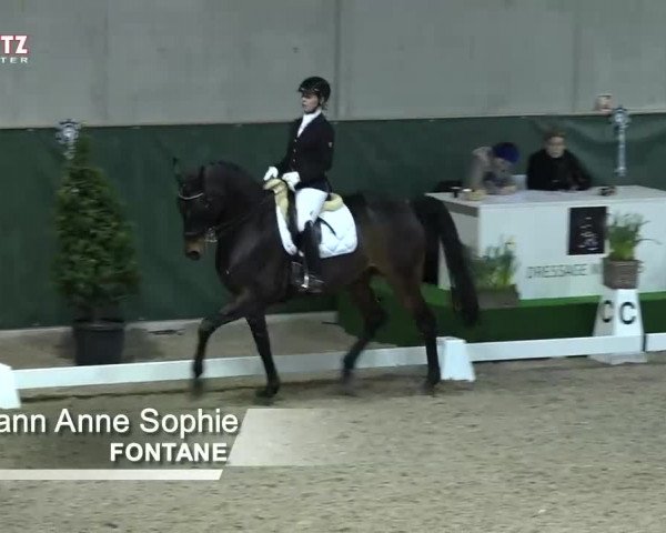 Horsepark Dressage Masters 2018