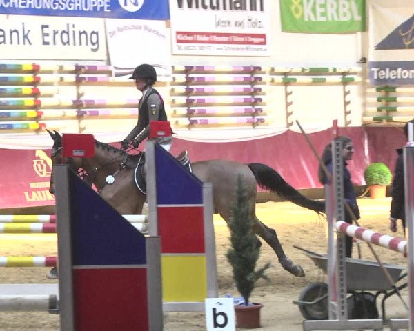 Reitturnier Eicherloh 2018