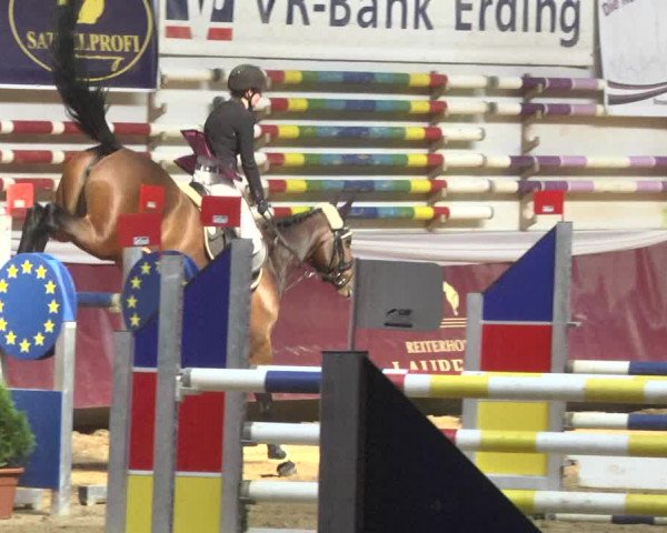 Reitturnier Eicherloh 2018