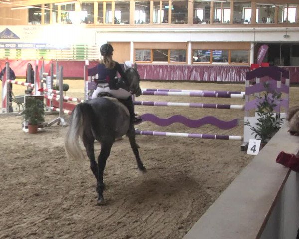 Reitturnier Eicherloh 2018