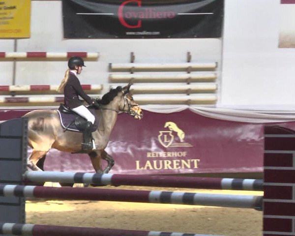 Reitturnier Eicherloh 2018