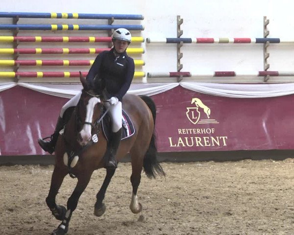 Reitturnier Eicherloh 2018