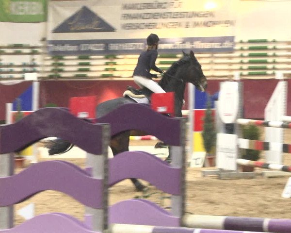 Reitturnier Eicherloh 2018