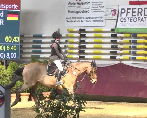 Reitturnier Eicherloh 2018