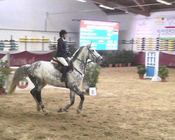 Reitturnier Eicherloh 2018