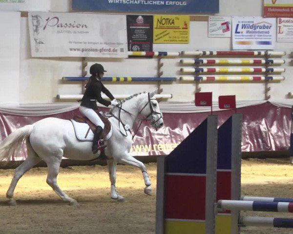 Reitturnier Eicherloh 2018