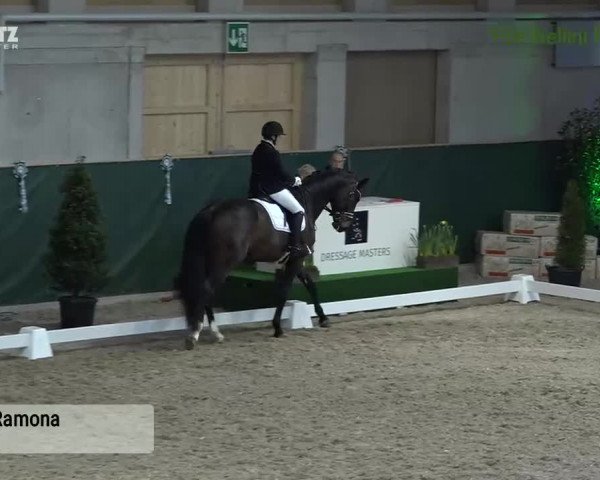Horsepark Dressage Masters 2018