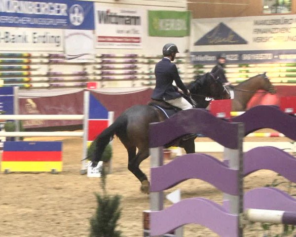 Reitturnier Eicherloh 2018