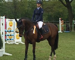 broodmare Luisa 56 (Rhinelander, 2008, from Lapaz L)